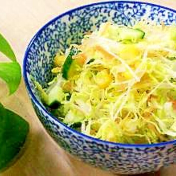切って盛るだけ 春キャベツの簡単サラダ レシピ 作り方 By Tuhatkauno 楽天レシピ 切って盛るだけ 春キャベツの簡単サラダ レシピ 作り方 By Tuhatkauno 楽天レシピ